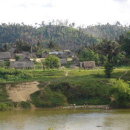 Houses and trees along river in Ambatobe Village, Madagascar