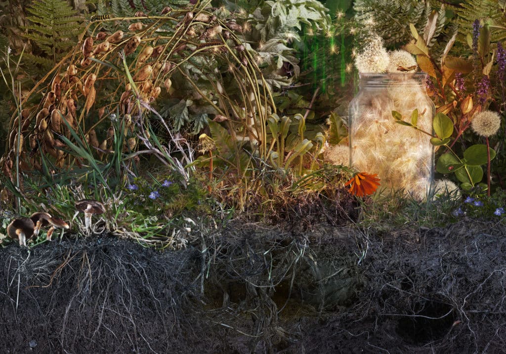 Art by Christine Simpson