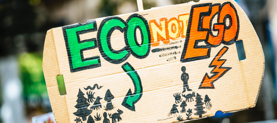 Eco not Ego Protest Sign