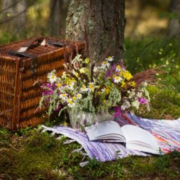 book and flowers on a blanket in the forest