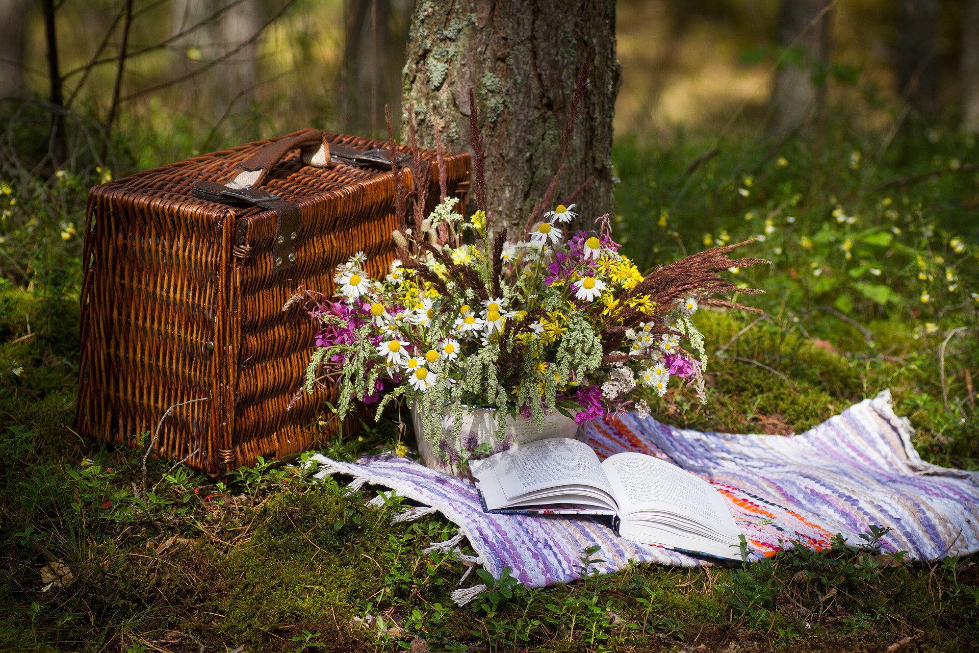book and flowers on a blanket in the forest