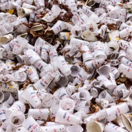 Plastic cups thrown in the trash