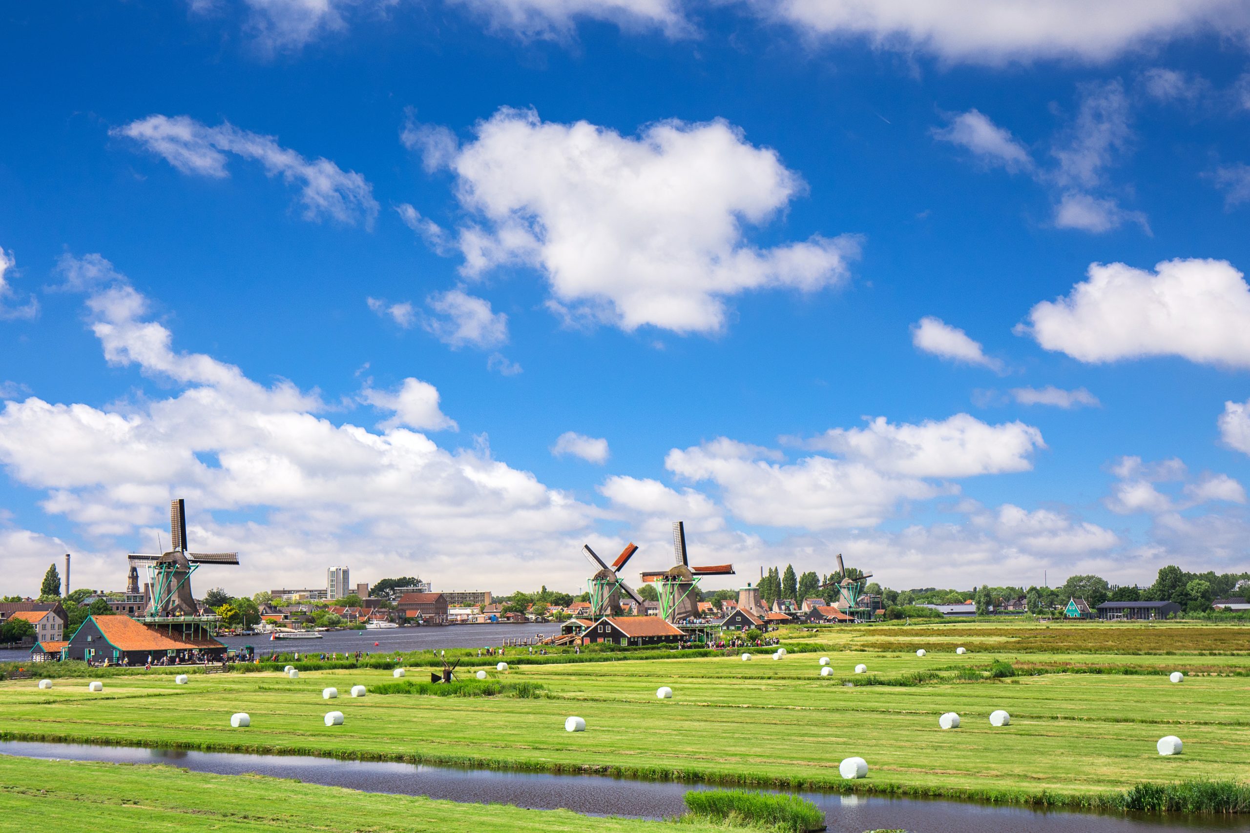 Depiction of an Amsterdam countryside, windmills spinning in the background against a blue sky