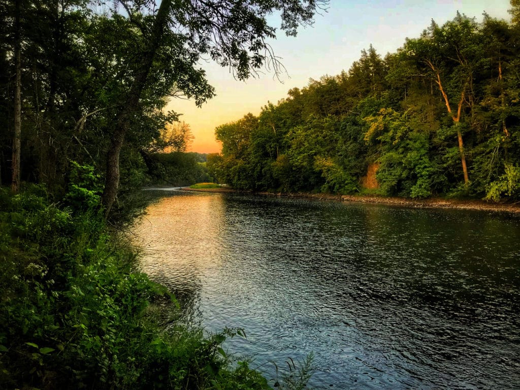 Art by Kathleen Riley