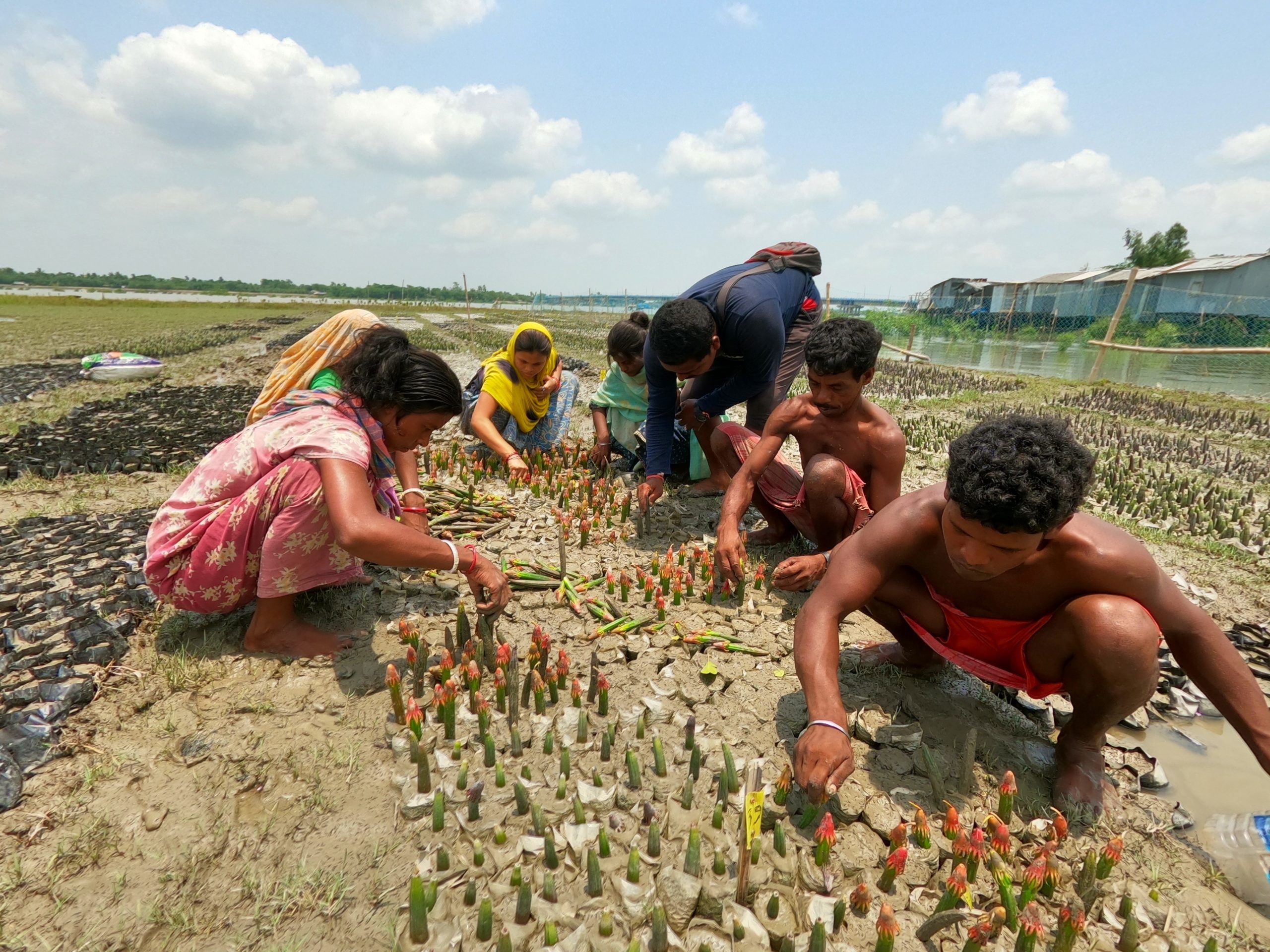 Small group of people planting