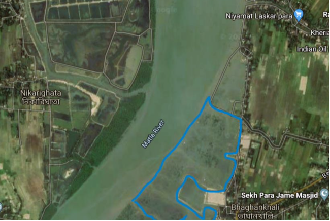 Planting Location Sundarbans India