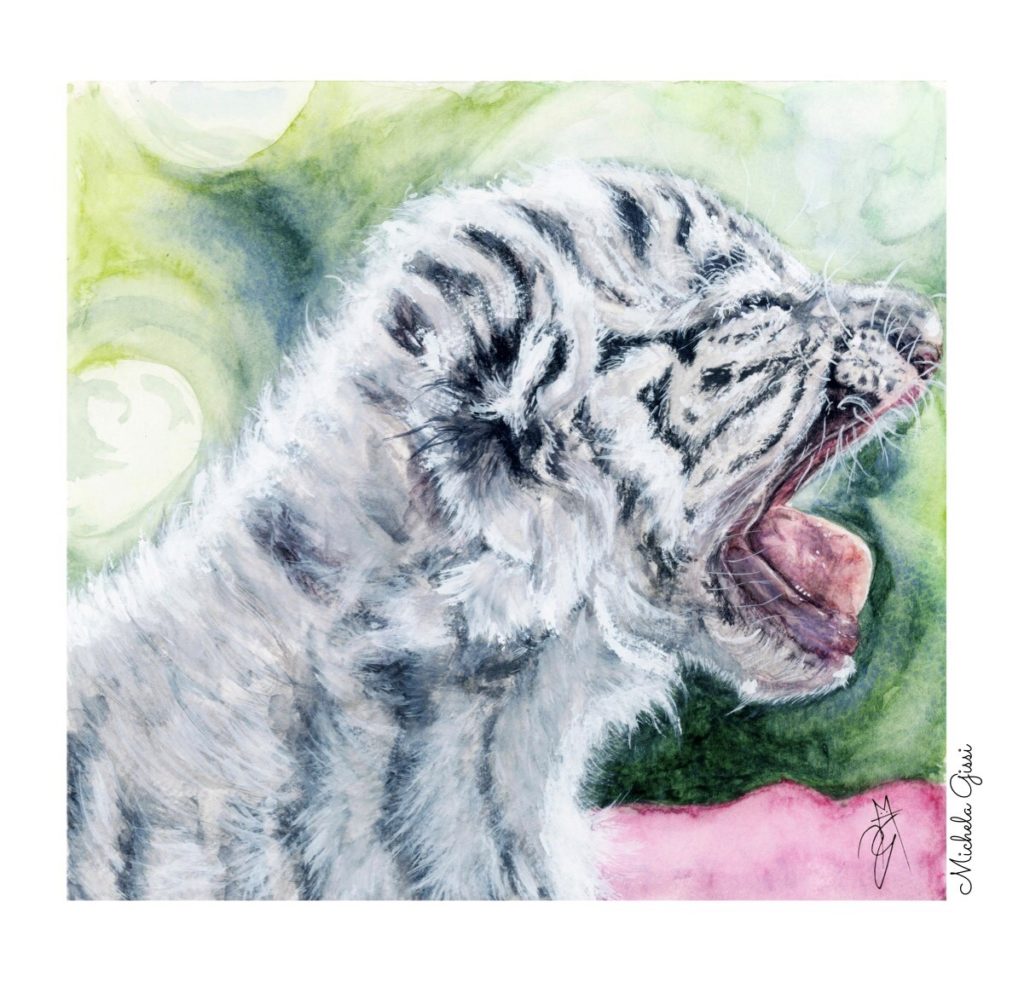 Art by Michela Gissi