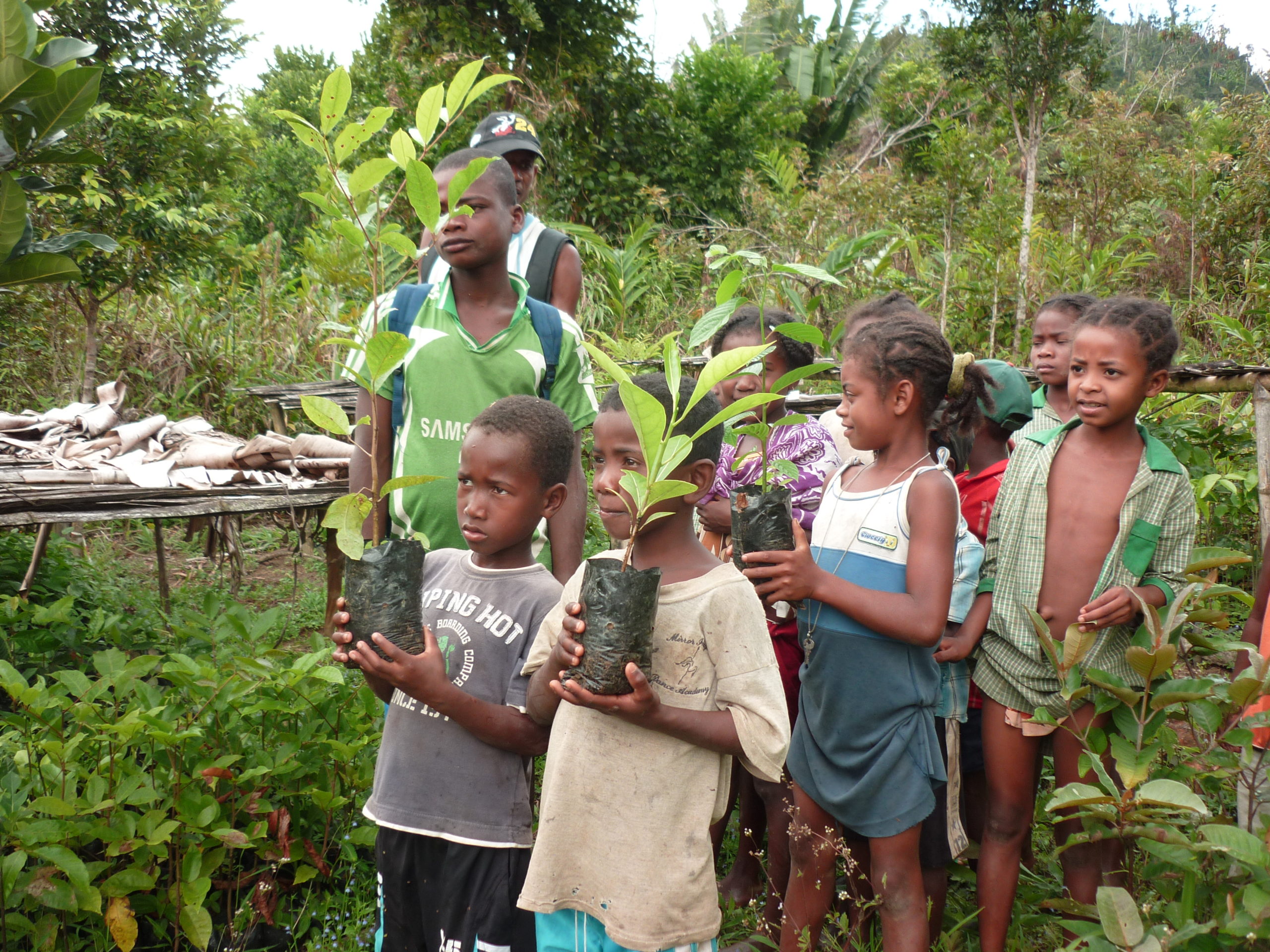 Children holding plants pots