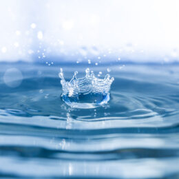 water droplet