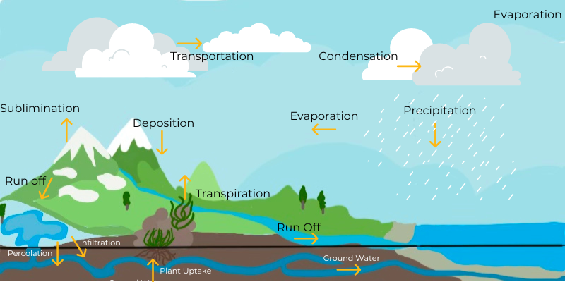 case study on water cycle