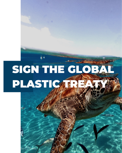 Sign the global plastic treaty cover