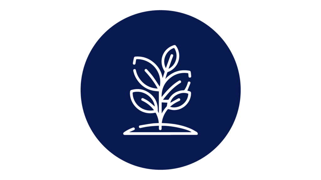 Icon representing a plant