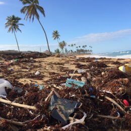 tangled garbage on sandy surface