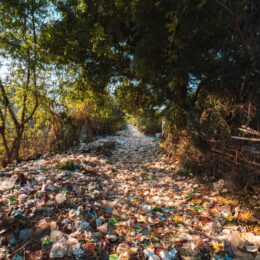 Plastic trash littering forest path