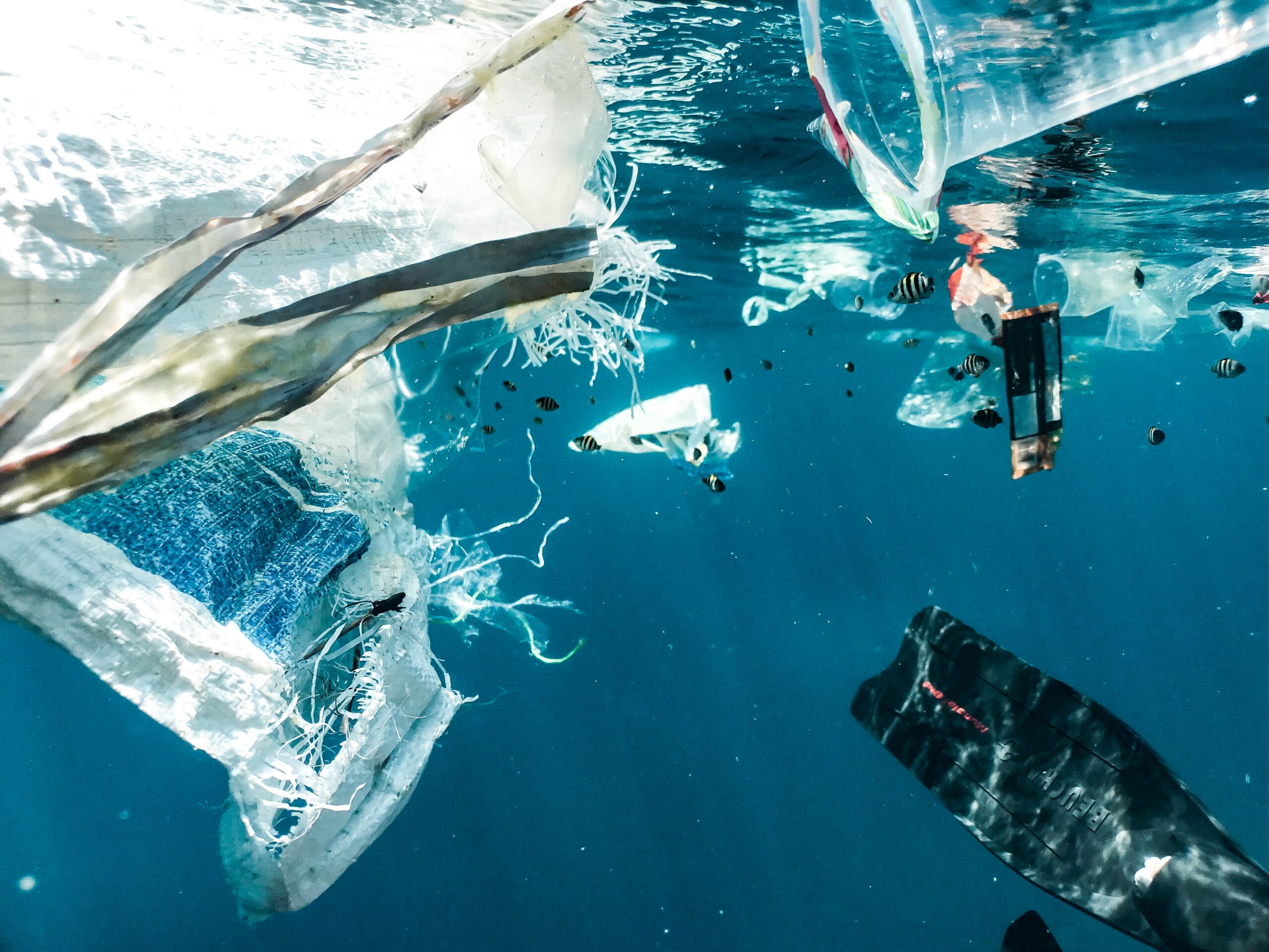 Plastic pollution in ocean