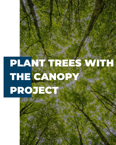 Plant Trees Canopy Banner