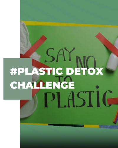 Plastic Detox Banner