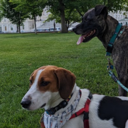 Buzz and Sally Ride