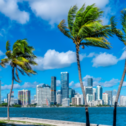 Miami coastline