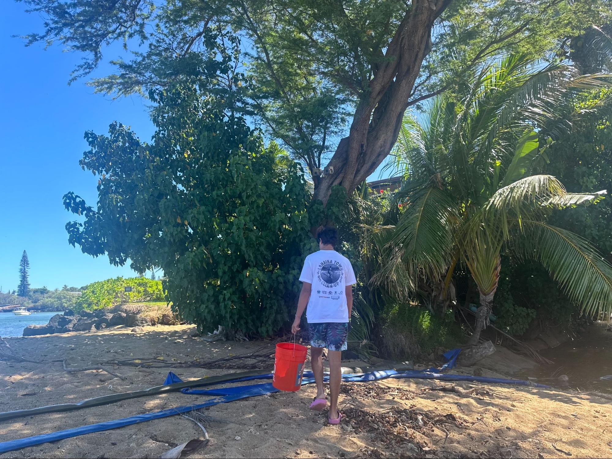 Volunteer walking on the beach in search of trash