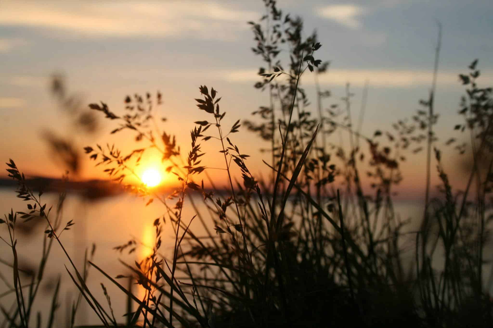 Earth Day 2025 | Activities & Resources for April 22 - Earth Day