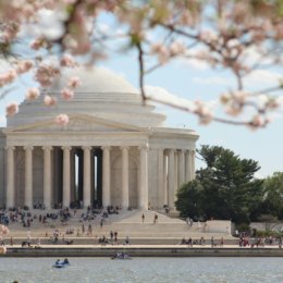 Jefferson Memorial and cherry blossoms.