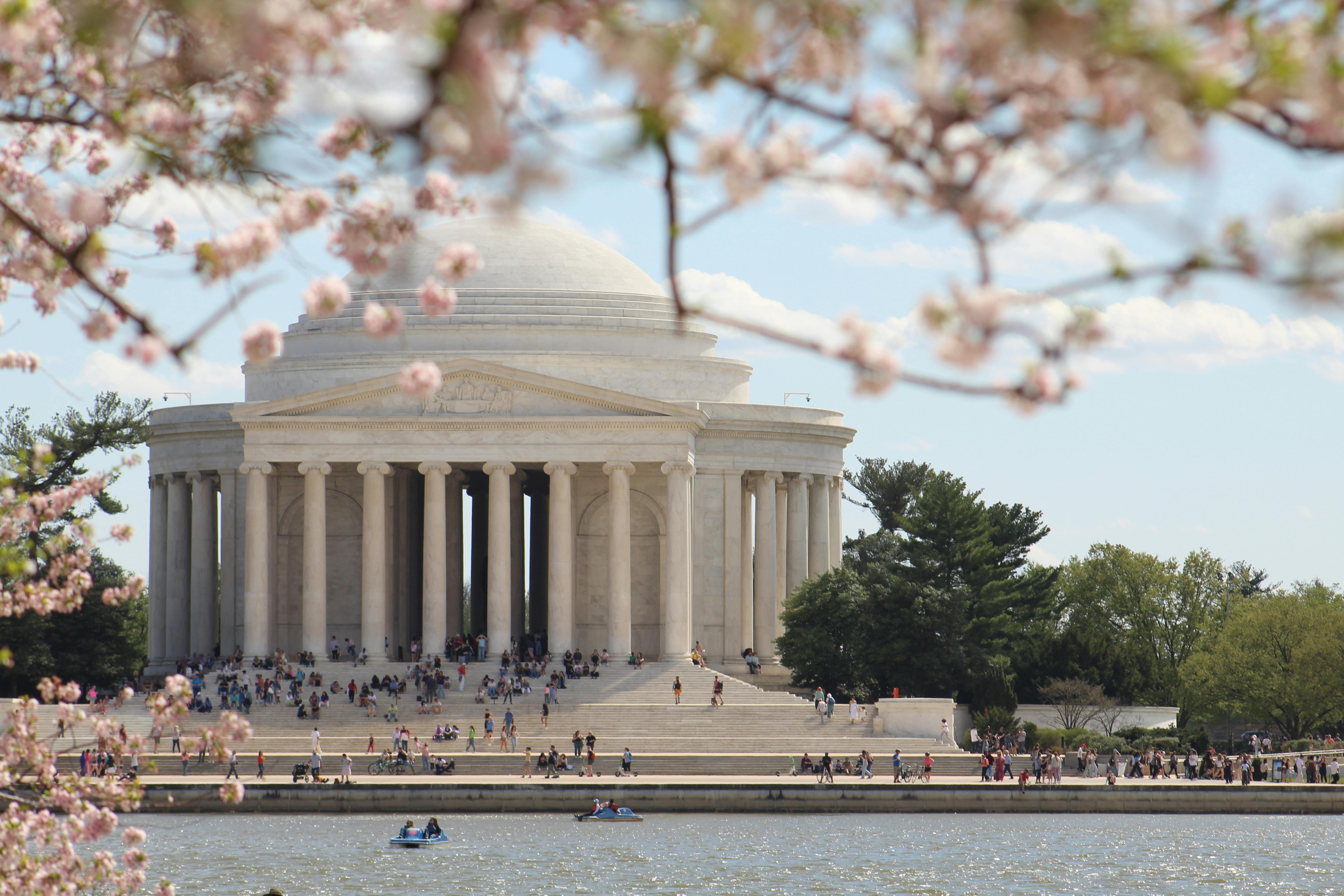 Jefferson Memorial and cherry blossoms.