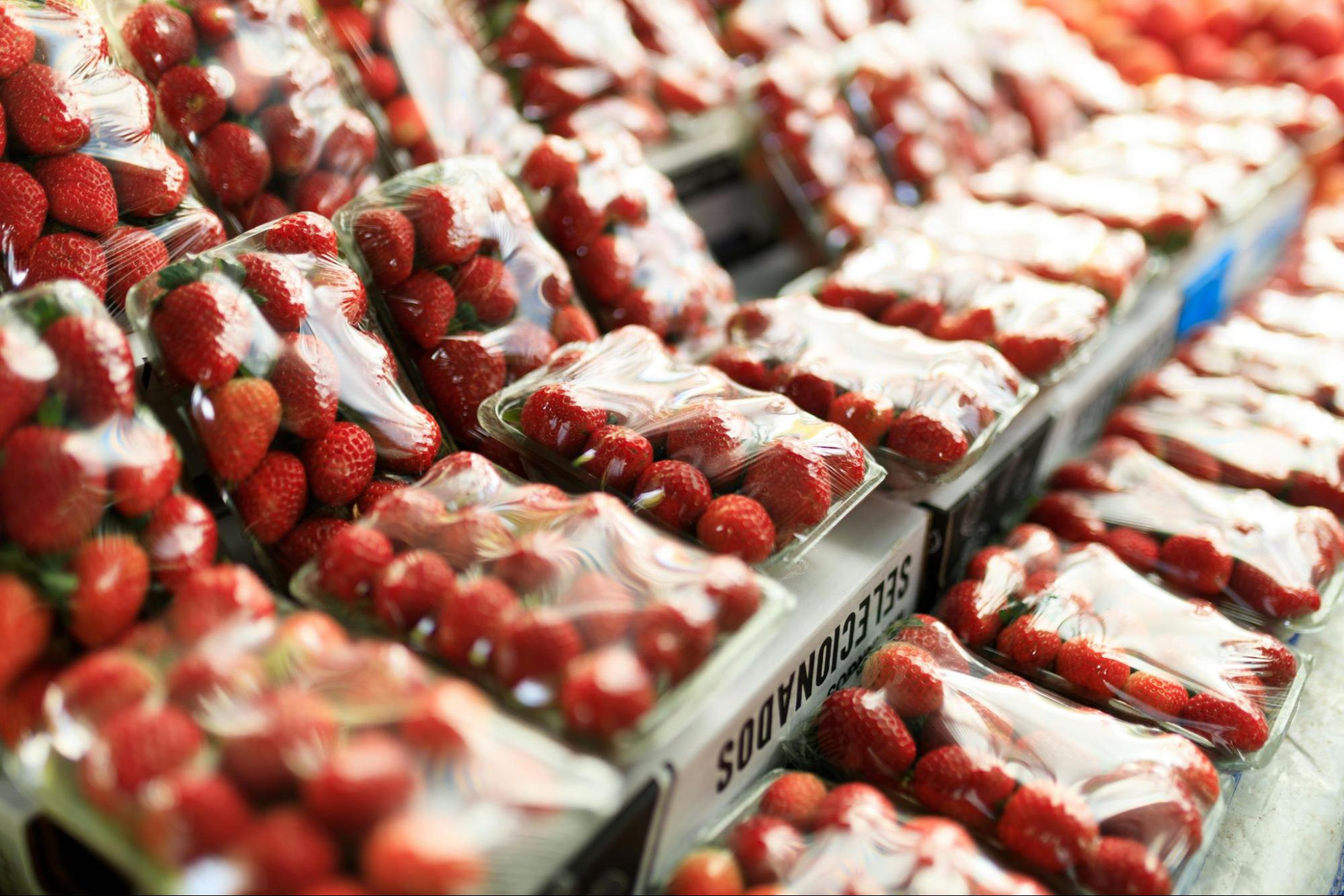 Strawberries in plastic packaging