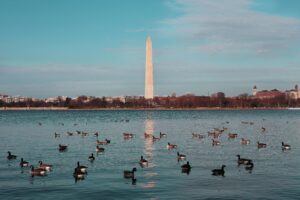 Washington Monument and reflecting pool.