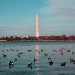 Washington Monument and reflecting pool.