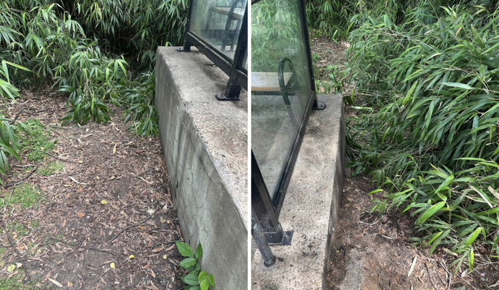 (Right) Behind the bus stop cleaned (Left) To the side of the bus stop cleaned