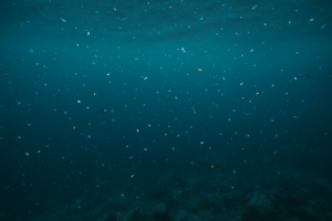 Microplastics in the ocean.