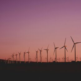 Wind turbines at sunset.