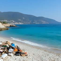 Beautiful beach with trash.