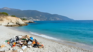 Beautiful beach with trash.