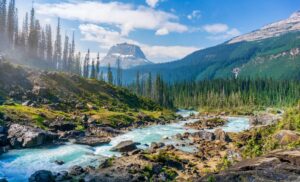 U.S. National Park