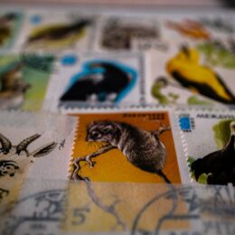 Stamps