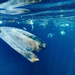 Plastic bag in the ocean.