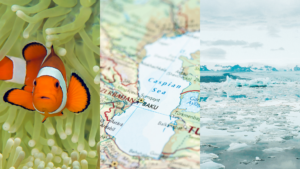 Triptych: Clownfish, Caspian Sea map, Ocean