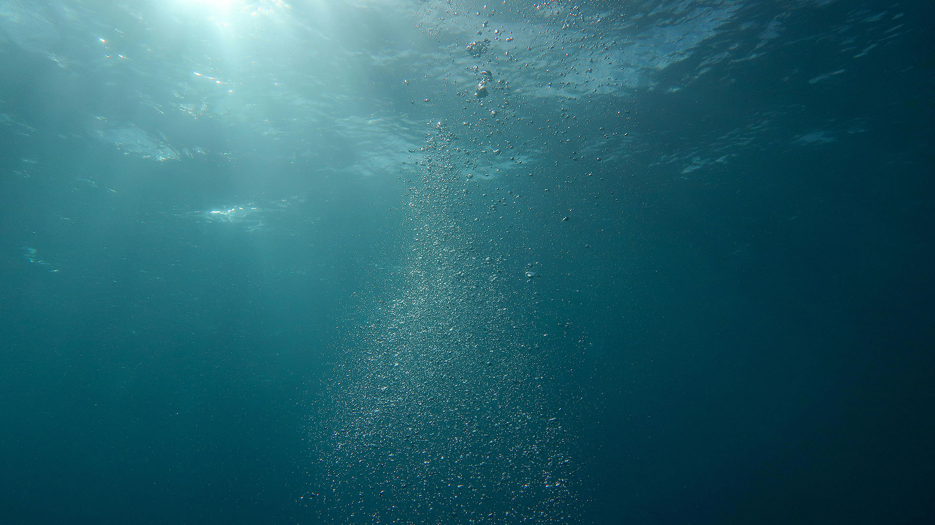 Deep ocean, scene from under water, for Earth Day diary