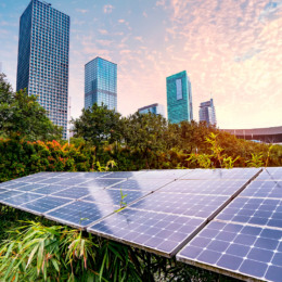 Solar panels and city in the distance.