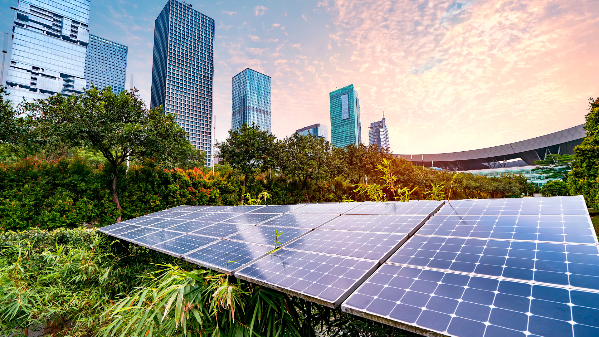 Solar panels and city in the distance.