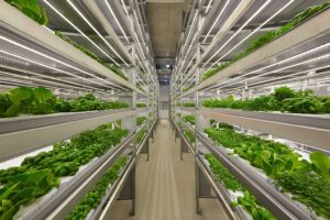 Vertical farms