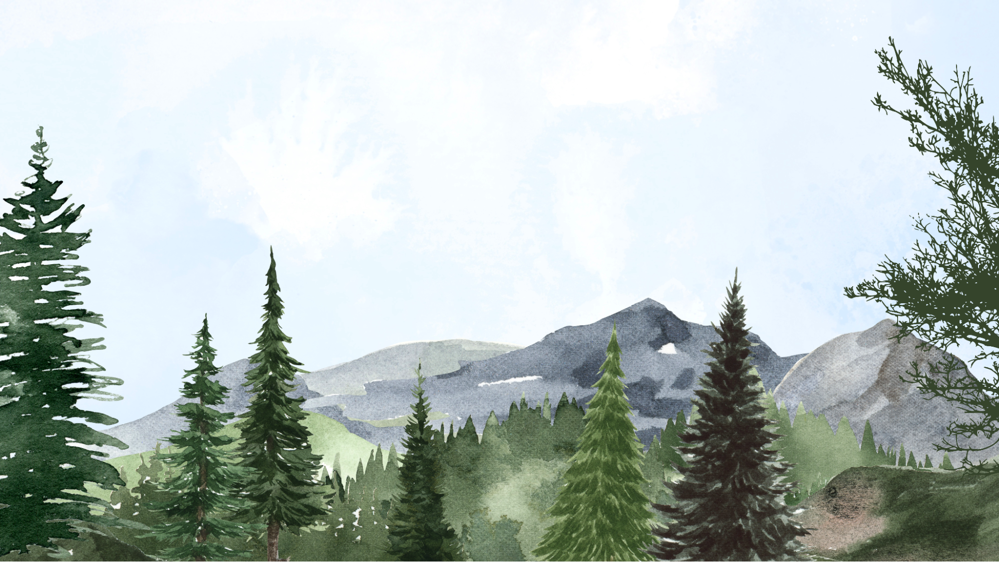 Watercolor of a forest