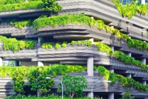 Urban greenery on concrete