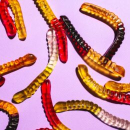 Gummy worms.