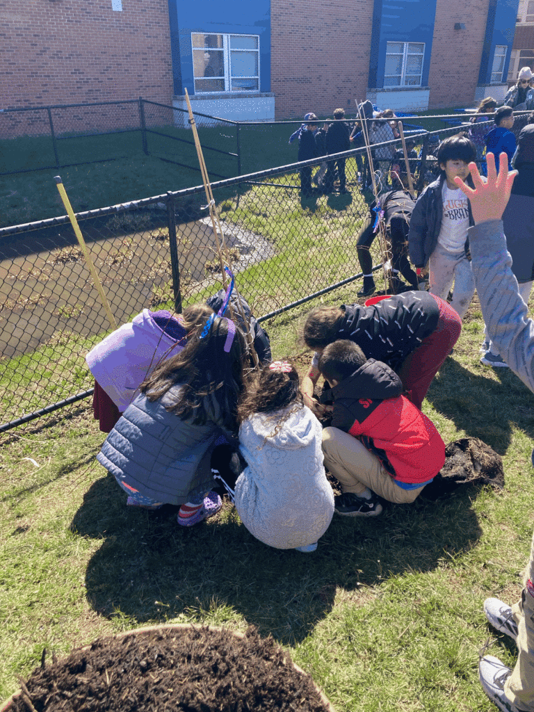 Students get their hands dirty, planting a tree of their own.