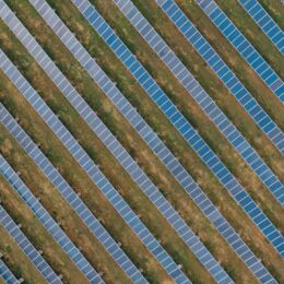 Solar panels ina field
