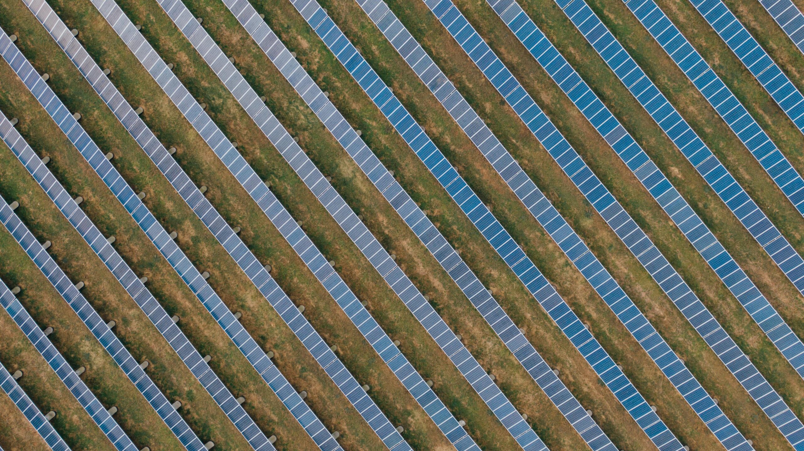 Solar panels ina field