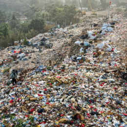 Trash and plastic piles
